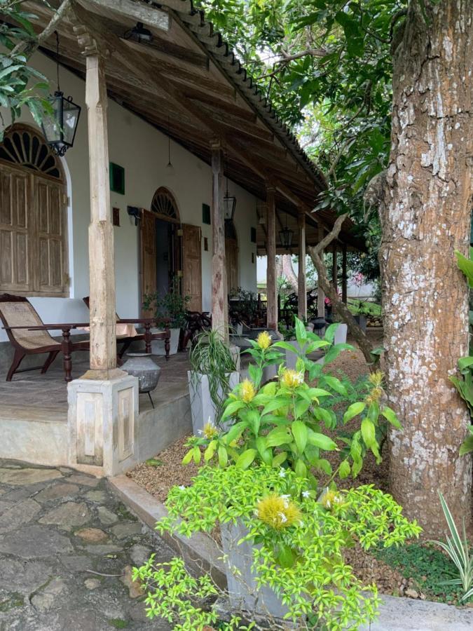 Lali Villa & Fruit Garden Galle Esterno foto