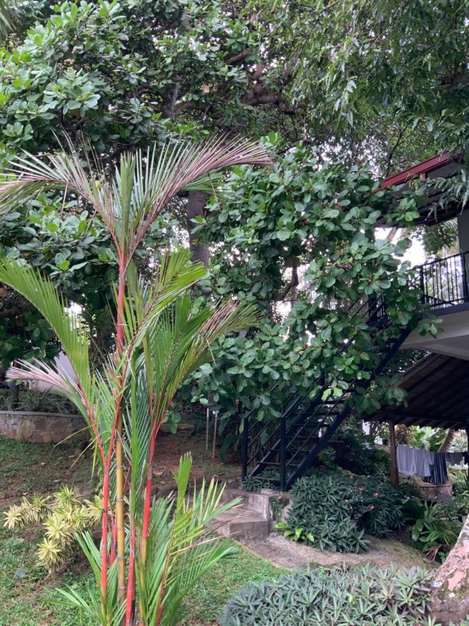 Lali Villa & Fruit Garden Galle Esterno foto