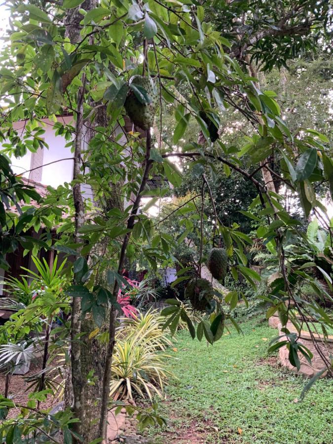Lali Villa & Fruit Garden Galle Esterno foto
