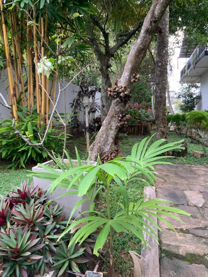 Lali Villa & Fruit Garden Galle Esterno foto