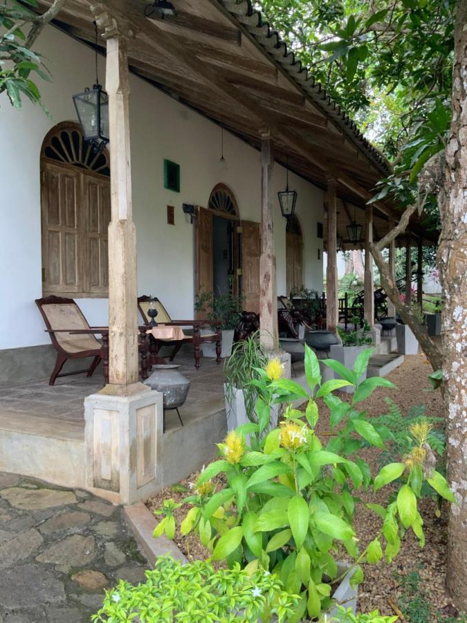 Lali Villa & Fruit Garden Galle Esterno foto
