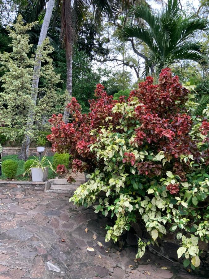 Lali Villa & Fruit Garden Galle Esterno foto