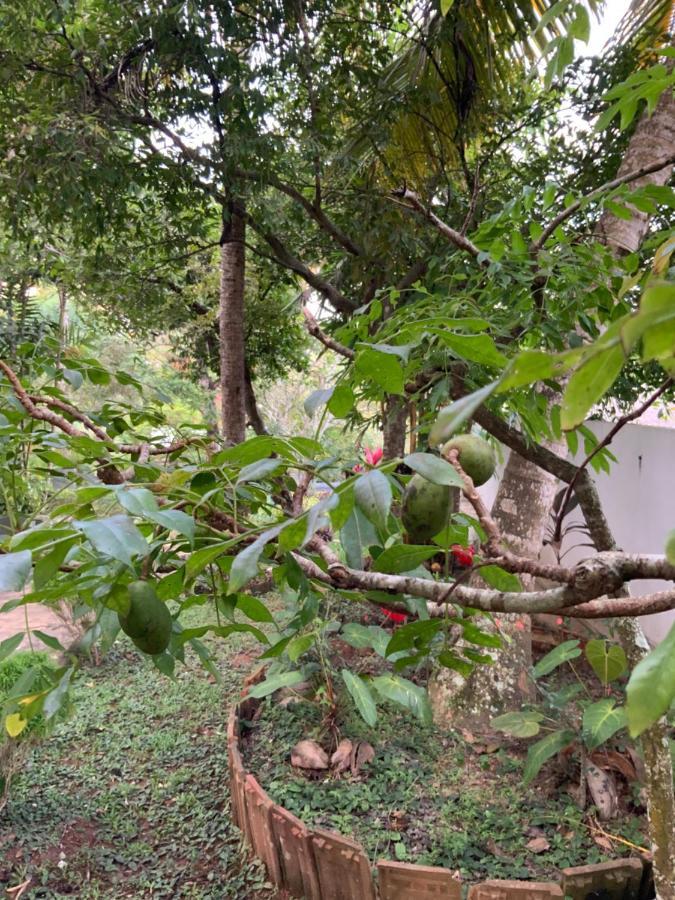 Lali Villa & Fruit Garden Galle Esterno foto