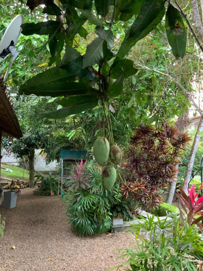 Lali Villa & Fruit Garden Galle Esterno foto